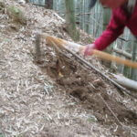 「親は褒めて伸ばしなさい」仕事場でお言葉を頂きました