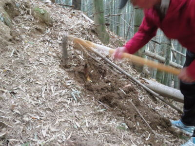 「親は褒めて伸ばしなさい」仕事場でお言葉を頂きました