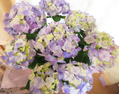 ゴールデンウィークが近づいて来た、うちは半分は営業します