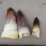 新規で来院されるお客さんが増えてきた、一体何が起きてるんだ？