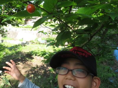 お休み明けなのに身体が動かず、ハードな数日間を過ごしました