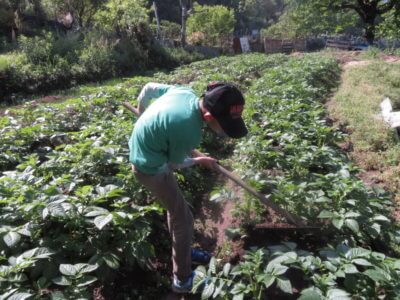 午前中は息子と一緒に野良仕事、午後からは結局読書三昧