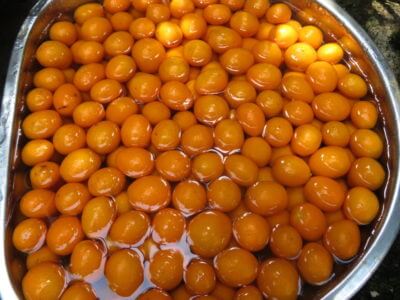 一人で畑の金柑狩り、とっても甘くて大好評でした