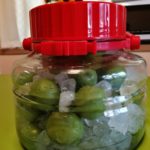 梅シロップ・梅酒・梅干しの漬けこみ完了、梅干しは成功させたい