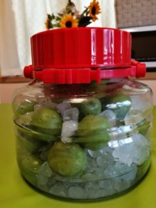 梅シロップ・梅酒・梅干しの漬けこみ完了、梅干しは成功させたい