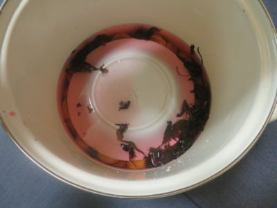 料理人に教わった梅干しの作り方を備忘録代わりに載せておく