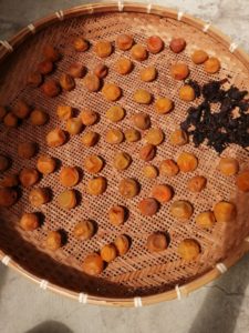 梅干しを天日干し、ひっくり返すのが楽しくて愛おしい