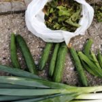 旅行の余波で忙しくしています、今週はずっと慌ただしいぞ