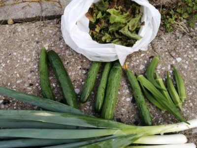 旅行の余波で忙しくしています、今週はずっと慌ただしいぞ