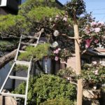 梅雨入りする前にやっておく事が幾つかある。今週は忙しいぞ