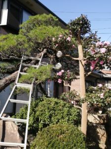 梅雨入りする前にやっておく事が幾つかある。今週は忙しいぞ