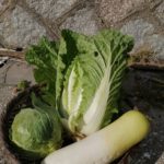 まだ秋の装い、野菜で季節感を感じてます