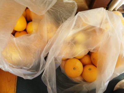 海田町のコロナ感染者が増えてるのね｜空き時間を有効活用しよう