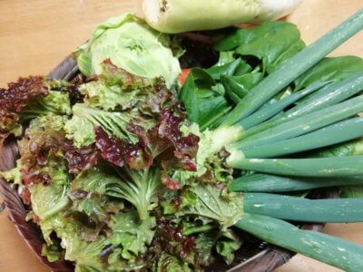 漸く畑に行けました。冬の間は畑に行く機会が減ってしまうな