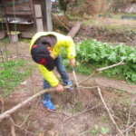 本日は1㎞を3本走れました。心拍数を気にしながら走ります