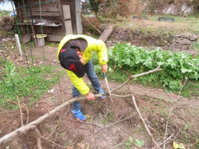 本日は1㎞を3本走れました。心拍数を気にしながら走ります