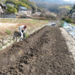 2月なのに畑仕事をしていて日焼けしてしまいました