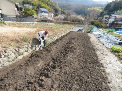 2月なのに畑仕事をしていて日焼けしてしまいました