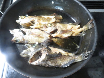 メバルを頂いたので、煮付けに仕上げてみた。生きた魚は苦手だな