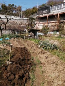 畑にて思う存分身体を動かす、野菜作りは根気と体力が要るのよ