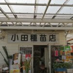 本業は風前の灯なのに、何故か急がしい生活送ってます