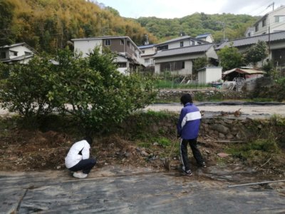 コロナ自粛に疲れたので、ひたすら畑にて身体を動かしてます