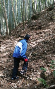 コロナ自粛でお客さんが減っている間にやりたい事を片付けよう