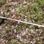 草刈りに没頭する昼休憩、農地増やすかな