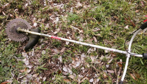 草刈りに没頭する昼休憩、農地増やすかな