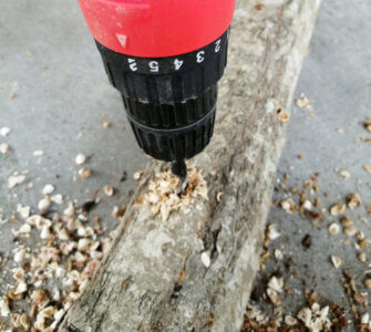 時期は遅いけど、原木しいたけの駒菌に挑戦してみた