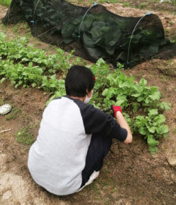 明日は娘が友人集めてバーベキュー｜嫁さんが奮闘してます