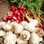 独り時間を楽しむ予定だったけど、結局いつもと同じことをやっていた