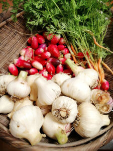 独り時間を楽しむ予定だったけど、結局いつもと同じことをやっていた