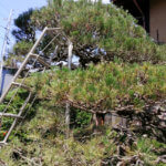 梅雨入りする前にやっておくべき事をひたすらこなす一日でした