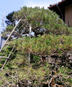 梅雨入りする前にやっておくべき事をひたすらこなす一日でした