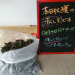 ひたすら赤紫蘇ジュース作りを行うが、大量に余ってしまった