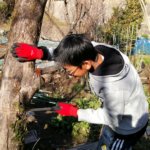 富有柿を1本伐採するのに、家族5人で合計4時間掛かってしまった