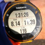 昼休憩に90分お散歩、マスクを付けずに歩きたくて畑の横の公園へ