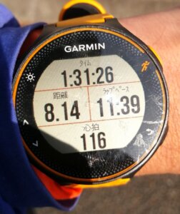 昼休憩に90分お散歩、マスクを付けずに歩きたくて畑の横の公園へ