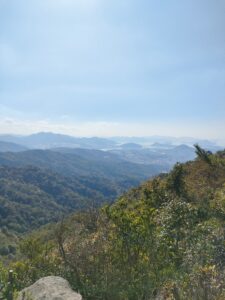 呉婆々宇山展望所