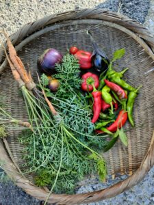 夏野菜はこれで終わり