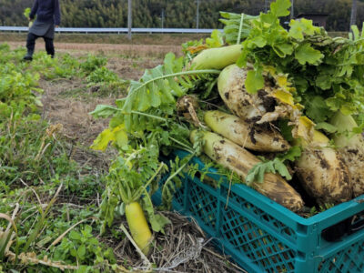 畑仕事には車が必要