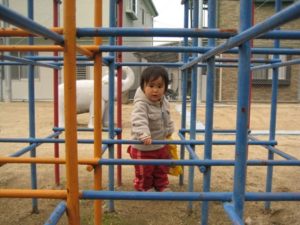 朝からゴソゴソと