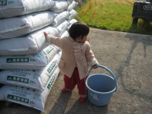 朝から田起こし、農作業従事者