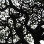 思考は回るが頭も回る