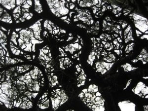 思考は回るが頭も回る