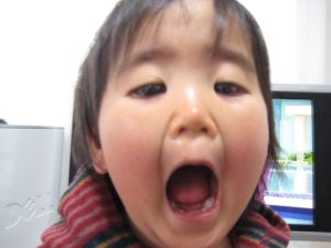 いいお店見つけました、ヤンボースポーツ