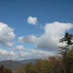 風に揺られて