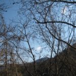 風切ることの楽しさよ