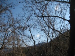 風切ることの楽しさよ